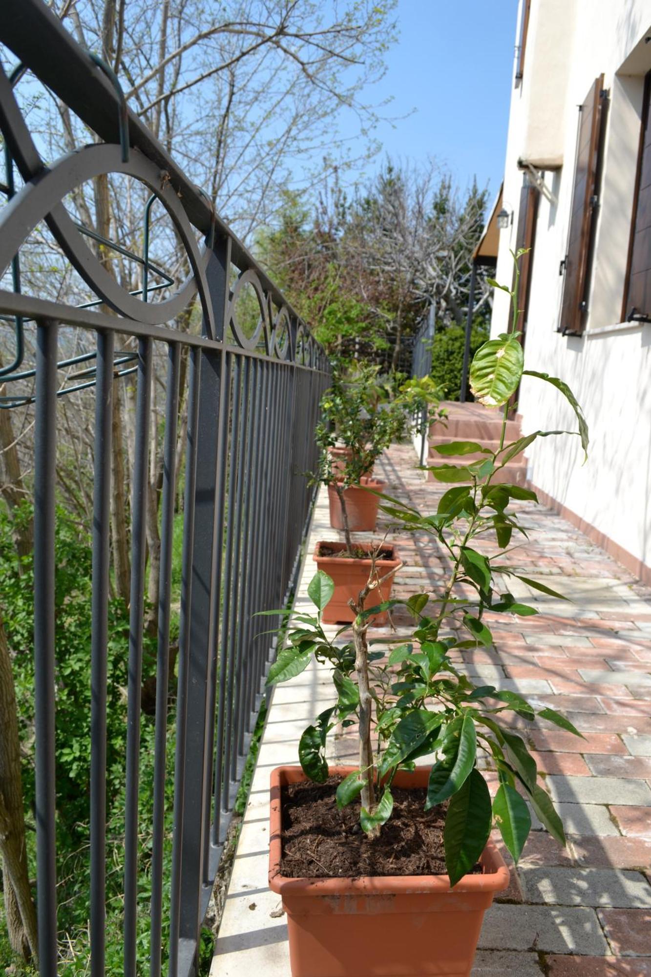B&B Ca Biocco Sogliano al Rubicone Dış mekan fotoğraf