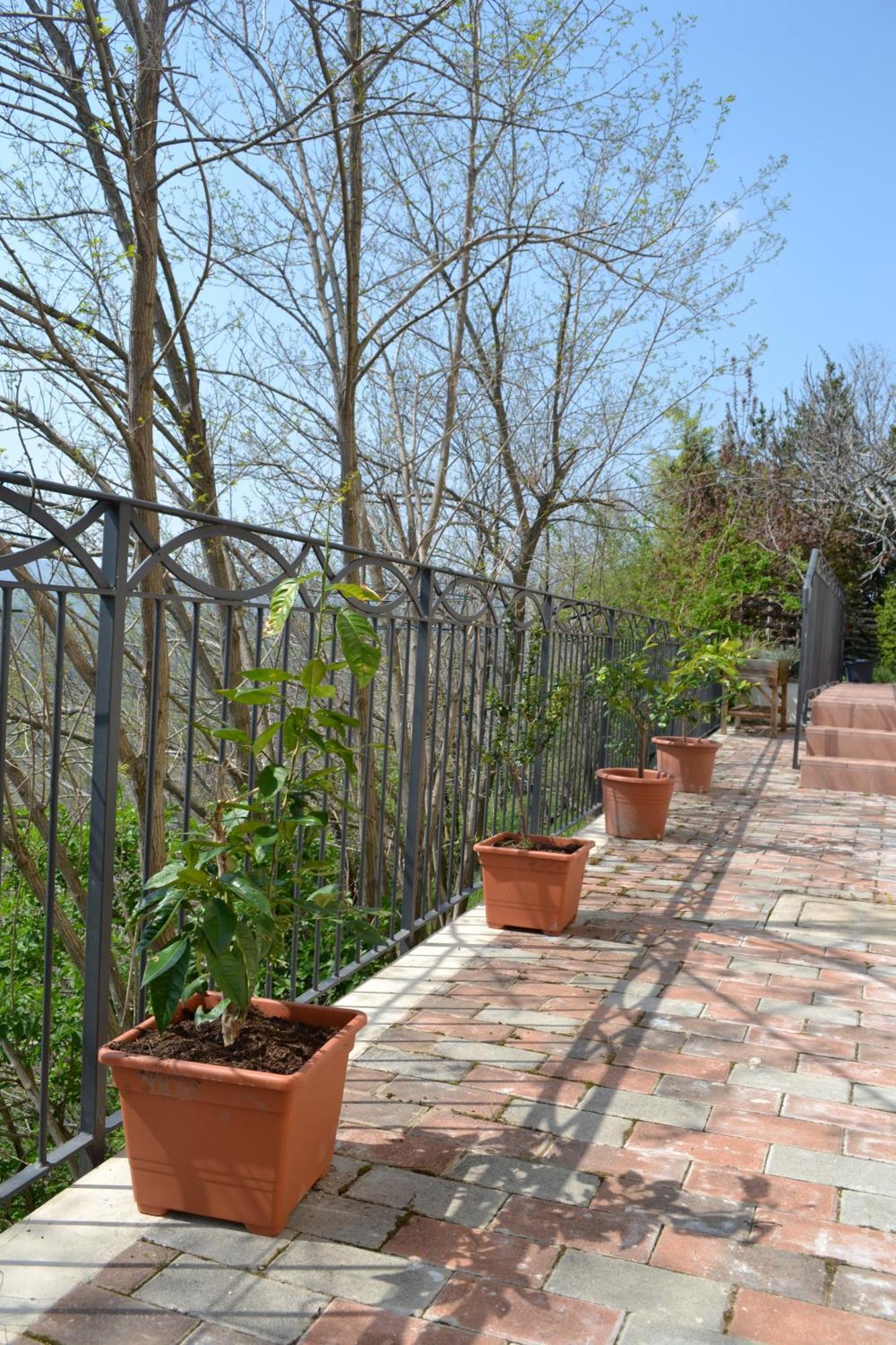 B&B Ca Biocco Sogliano al Rubicone Dış mekan fotoğraf
