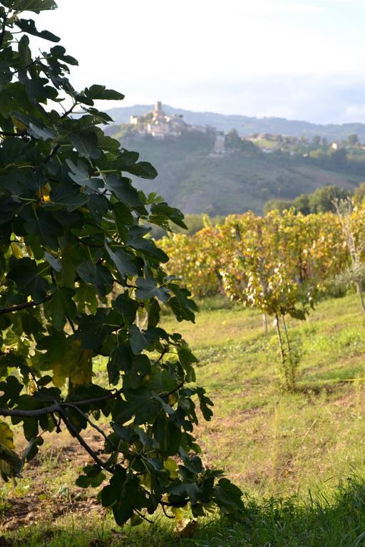 B&B Ca Biocco Sogliano al Rubicone Dış mekan fotoğraf